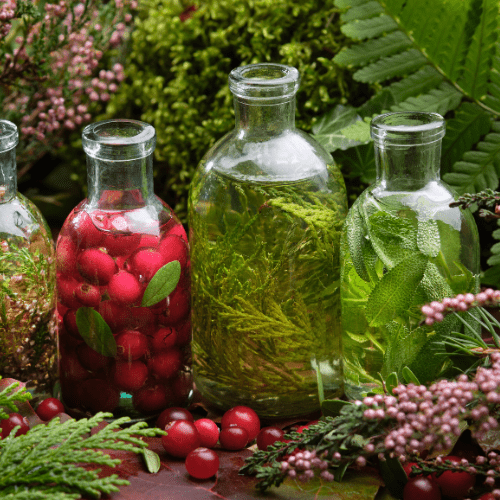 The Power of Herbal Infusions for Hair Growth - TOKS NATURAL