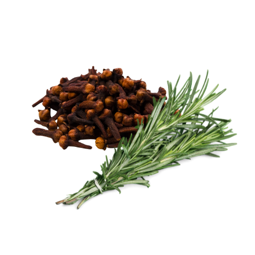 cloves and rosemary hair growth oil for thinning edges