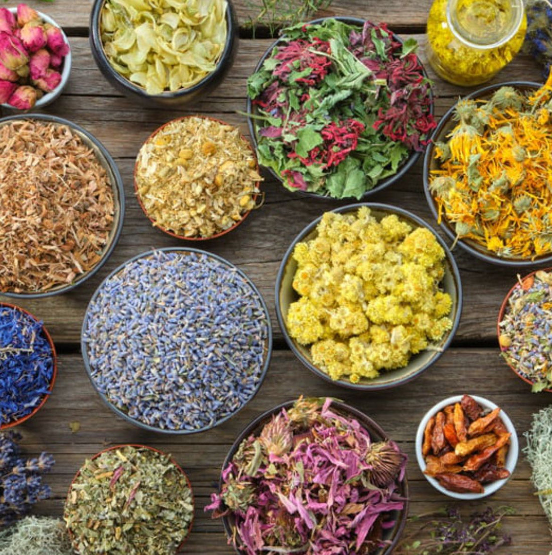 10 Essential Ayurvedic Herbs for Hair Growth - TOKS NATURAL