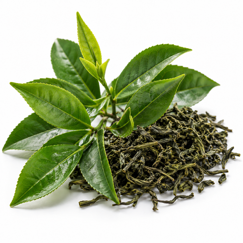 Green Tea Extract