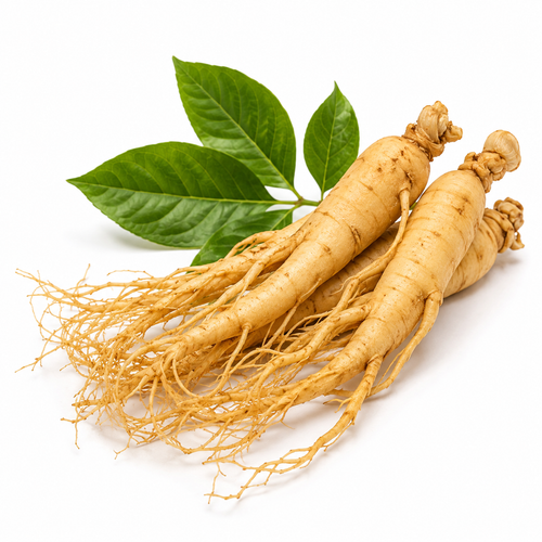 Ginseng Root