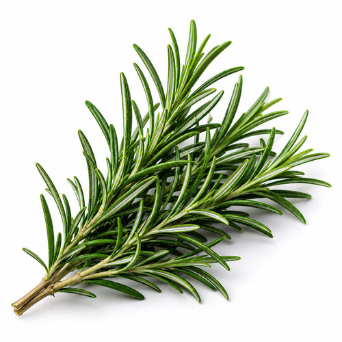 Rosemary