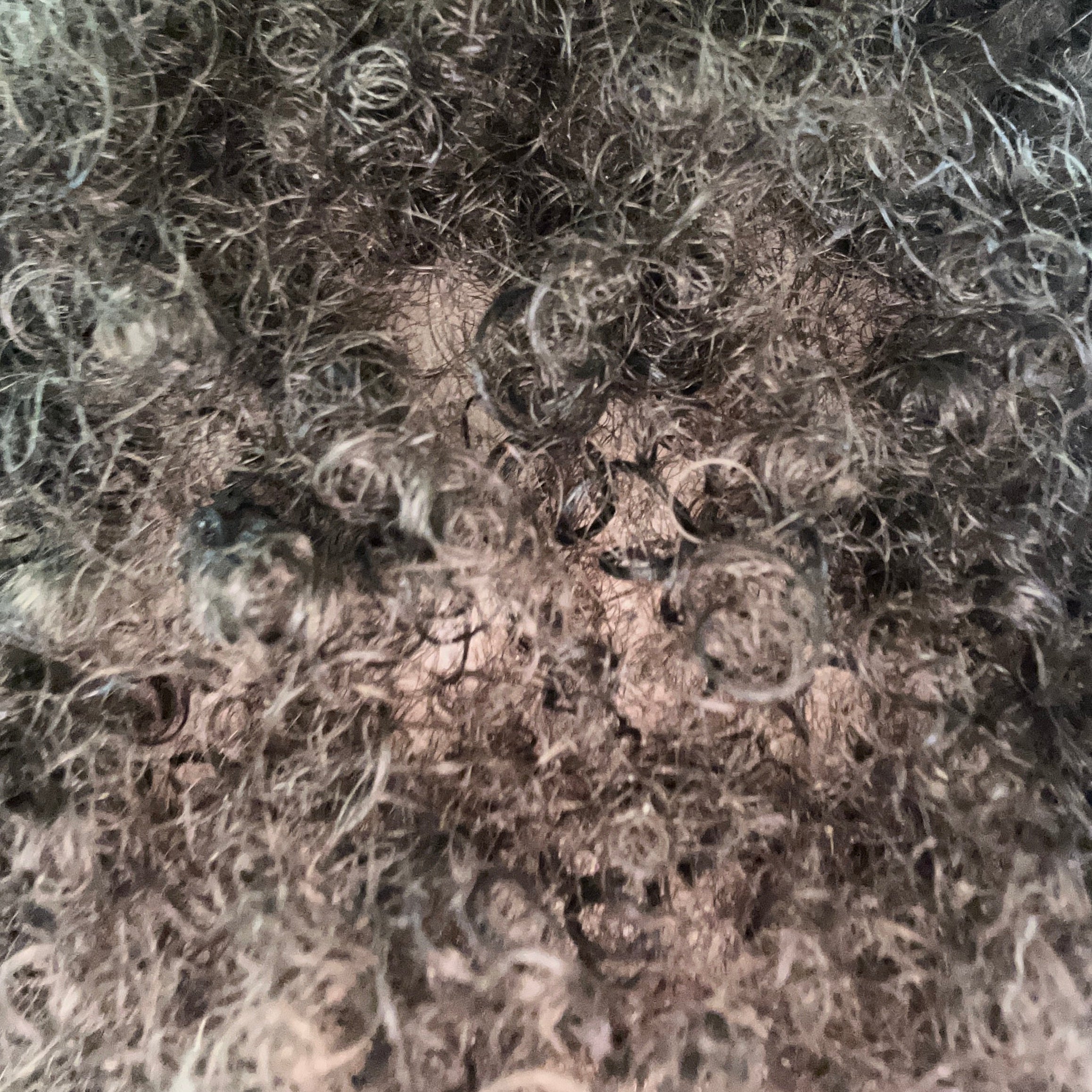 Close-up of a textured material with fibers and fibers