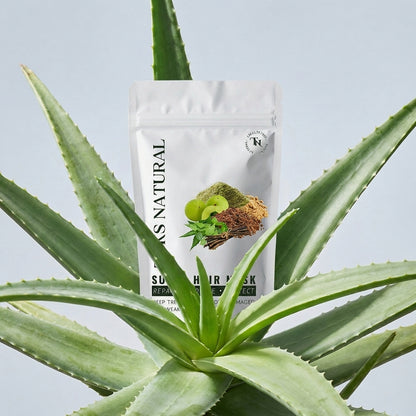 Aloe vera plant with a hair mask packaging in the background